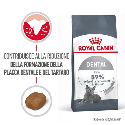 Royal Canin Dental Care Crocchette per gatto