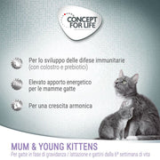 Concept for Life Mum & Young Kittens Mousse Alimento umido per gatti 6 x 200 g