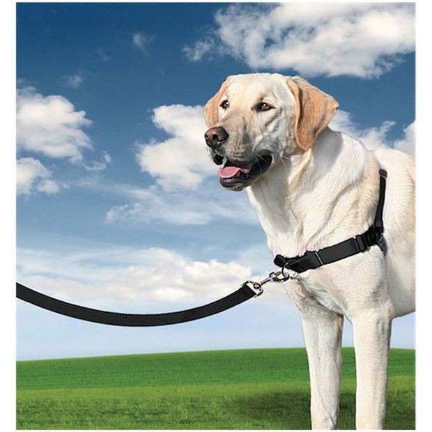 Pettorina PetSafe® Easy Walk 51 - 71 cm circ. torace