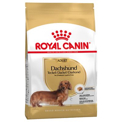 Royal Canin Bassotto (Dachshund) Adult Crocchette per cane