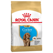 Royal Canin Cocker Puppy Crocchette per cane 3 kg