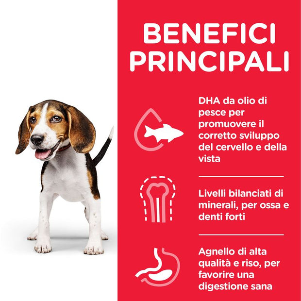 Hill's Science Plan Canine Puppy <1 umido per cane