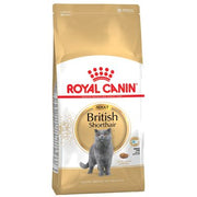 Royal Canin British Shorthair Adult Crocchette per gatto