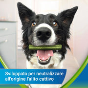 Purina Dentalife Active Fresh Snack per cani di taglia piccola 30 Stick