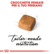 Royal Canin Persian Kitten Crocchette per gatto 4 kg