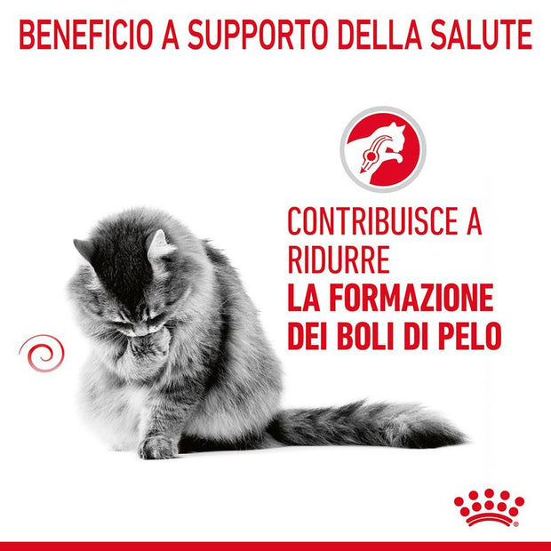 Royal Canin Hairball Care Crocchette per gatto