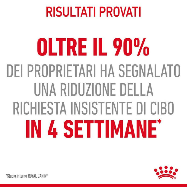 Royal Canin Light Weight Care umido in Gelatina per gatti