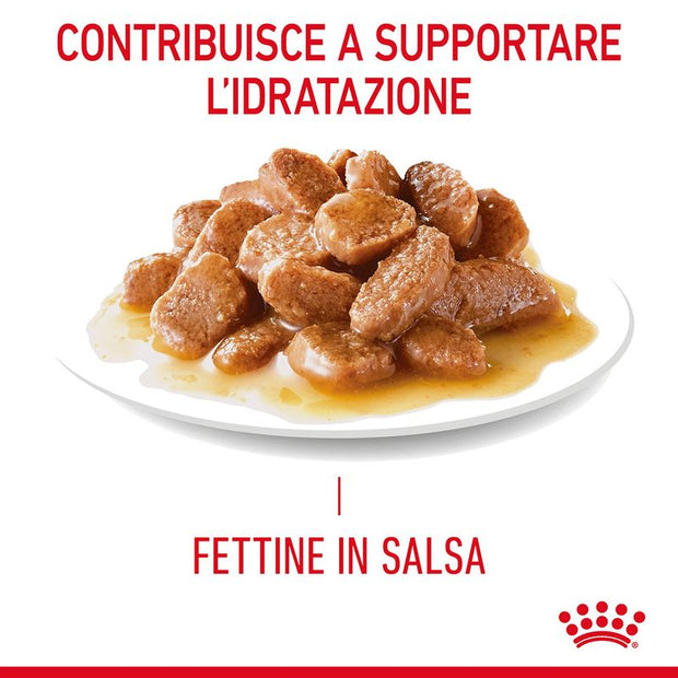 Royal Canin Urinary Care umido in Salsa per gatti