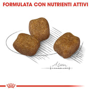 Royal Canin Dental Care Mini Crocchette per cane